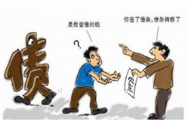 江西为什么选择专业追讨公司来处理您的债务纠纷？